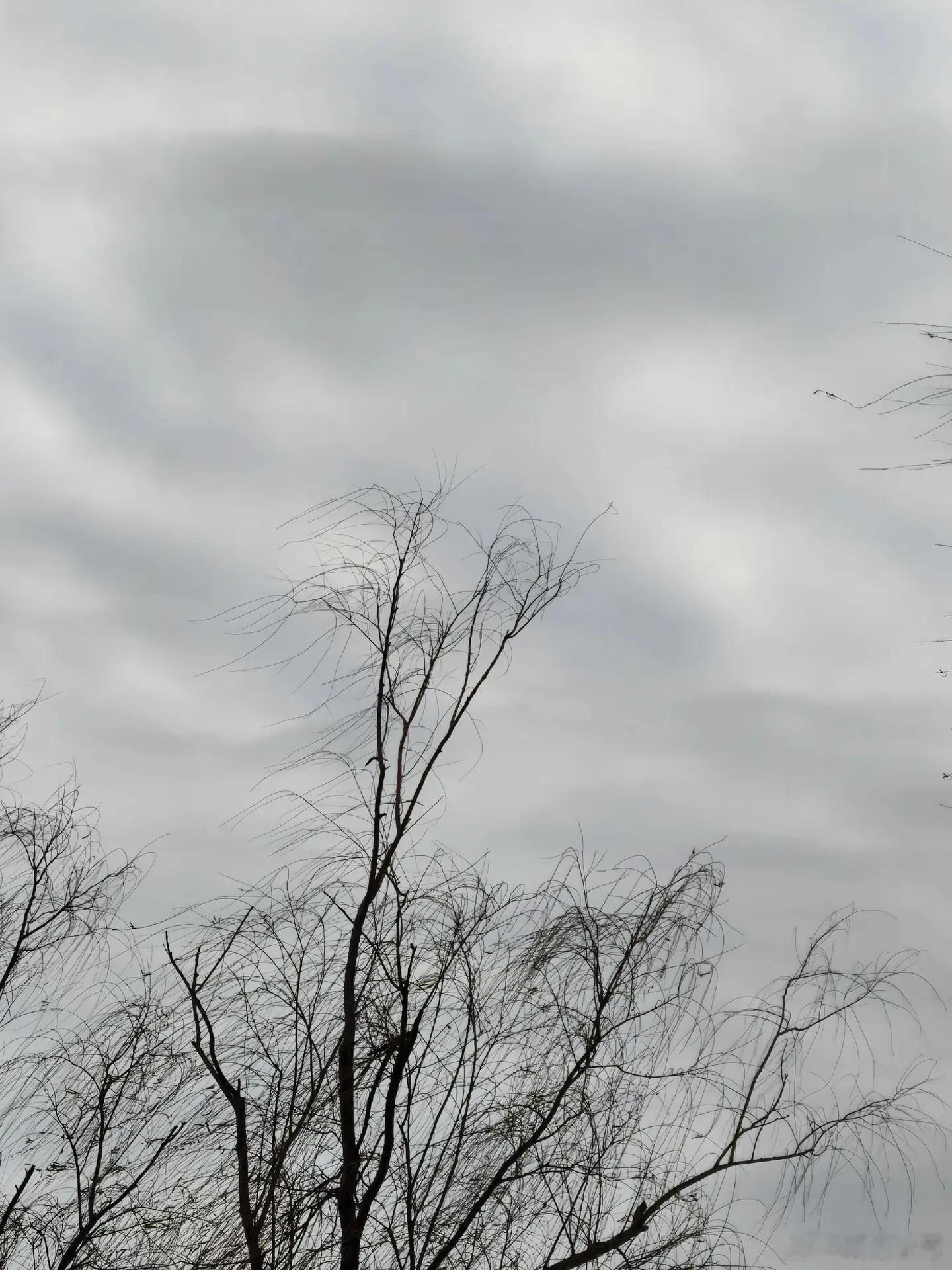 情感 语言到不了的地方，文字可以；灵魂到不了的地方，音乐可以。若情绪不能用语言说