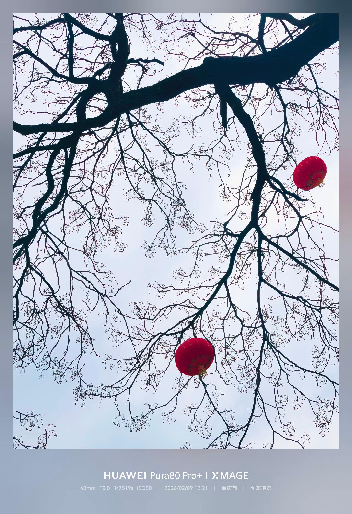 总要有些温暖的点缀，才能抵御冬日的漫长。这一抹红，是新年最好的预告