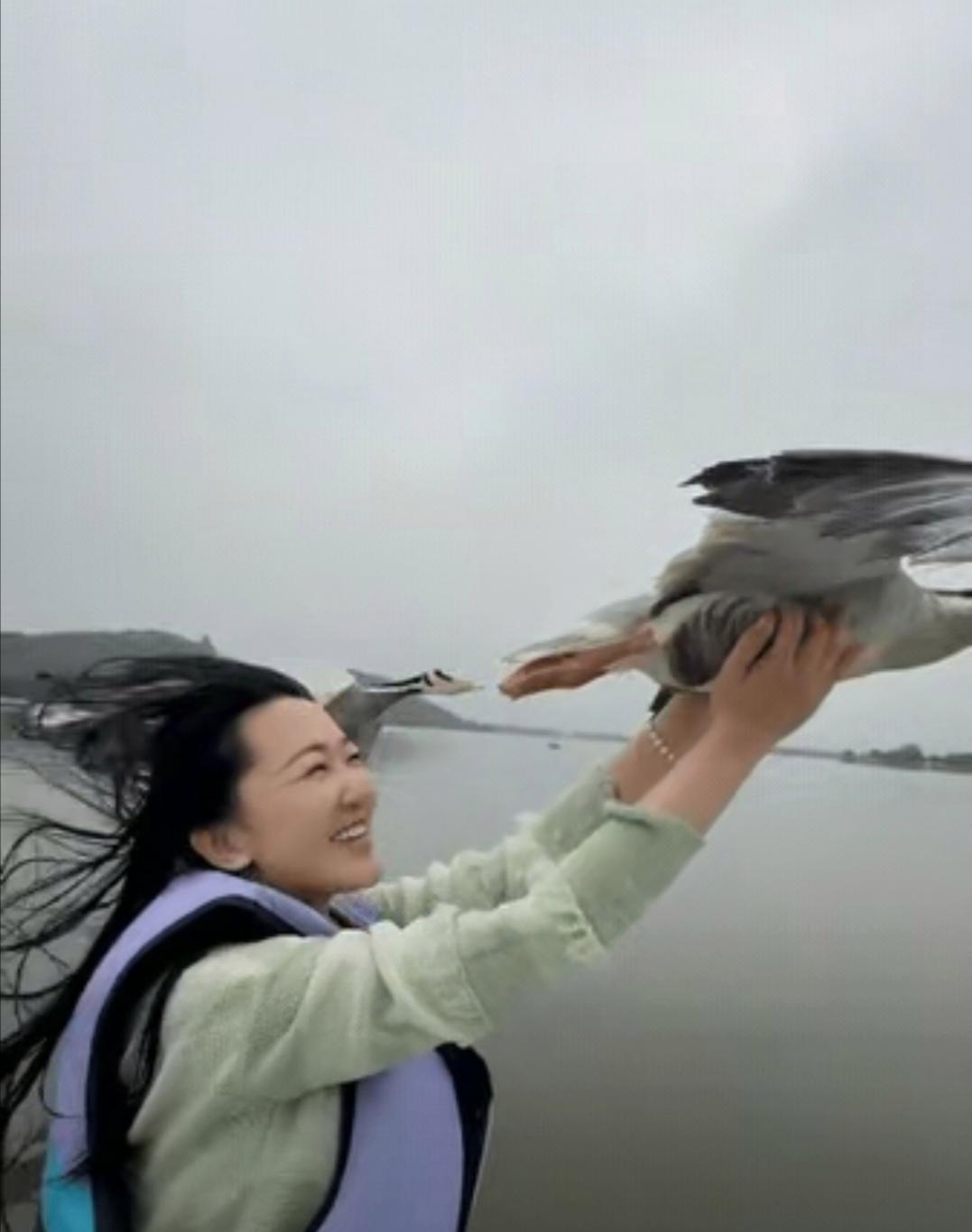 武汉，一女子驾船出海欣赏美景，突然飞来一群大雁和船并肩同行，女子伸出手，谁能想到
