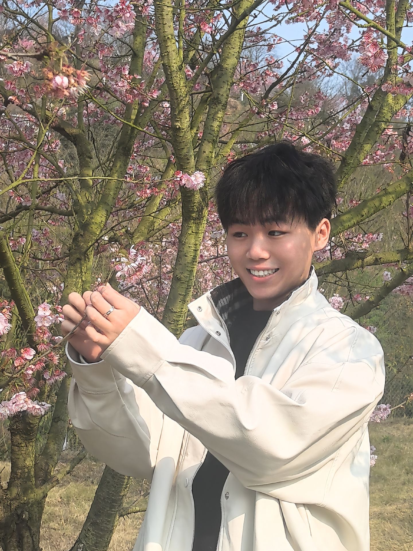 今年必有桃花运哦，兰兄。 