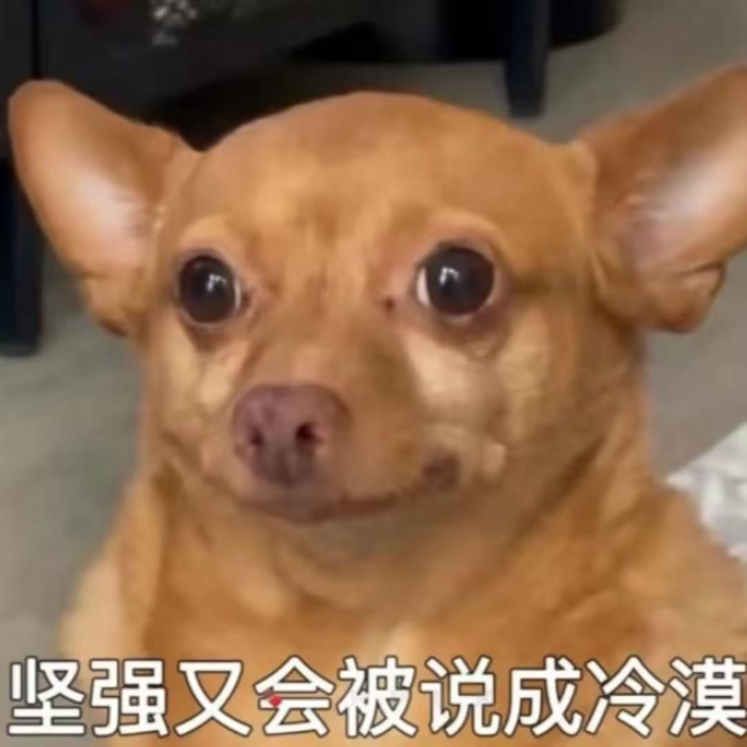 机会来敲门了，敲的是我邻居家的门。 