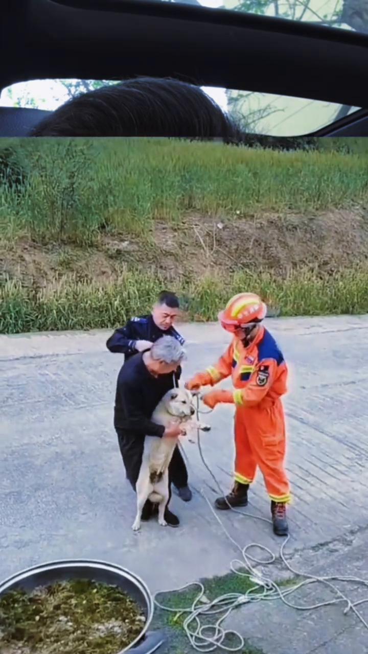 咬人的狗。
咬人的狗该怎么弄？就这么弄，全网第一个死于绞刑的狗，也算是出名了。