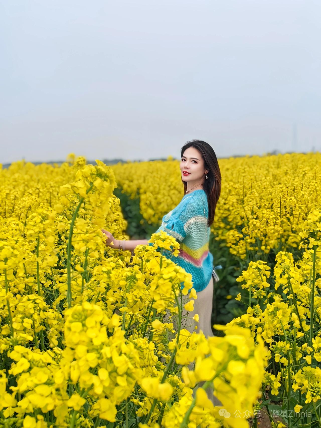 塞鸿秋·风动油菜花
 
暖风拂过金波荡，
菜花绽处春潮涨。
露珠映日星芒亮，
香