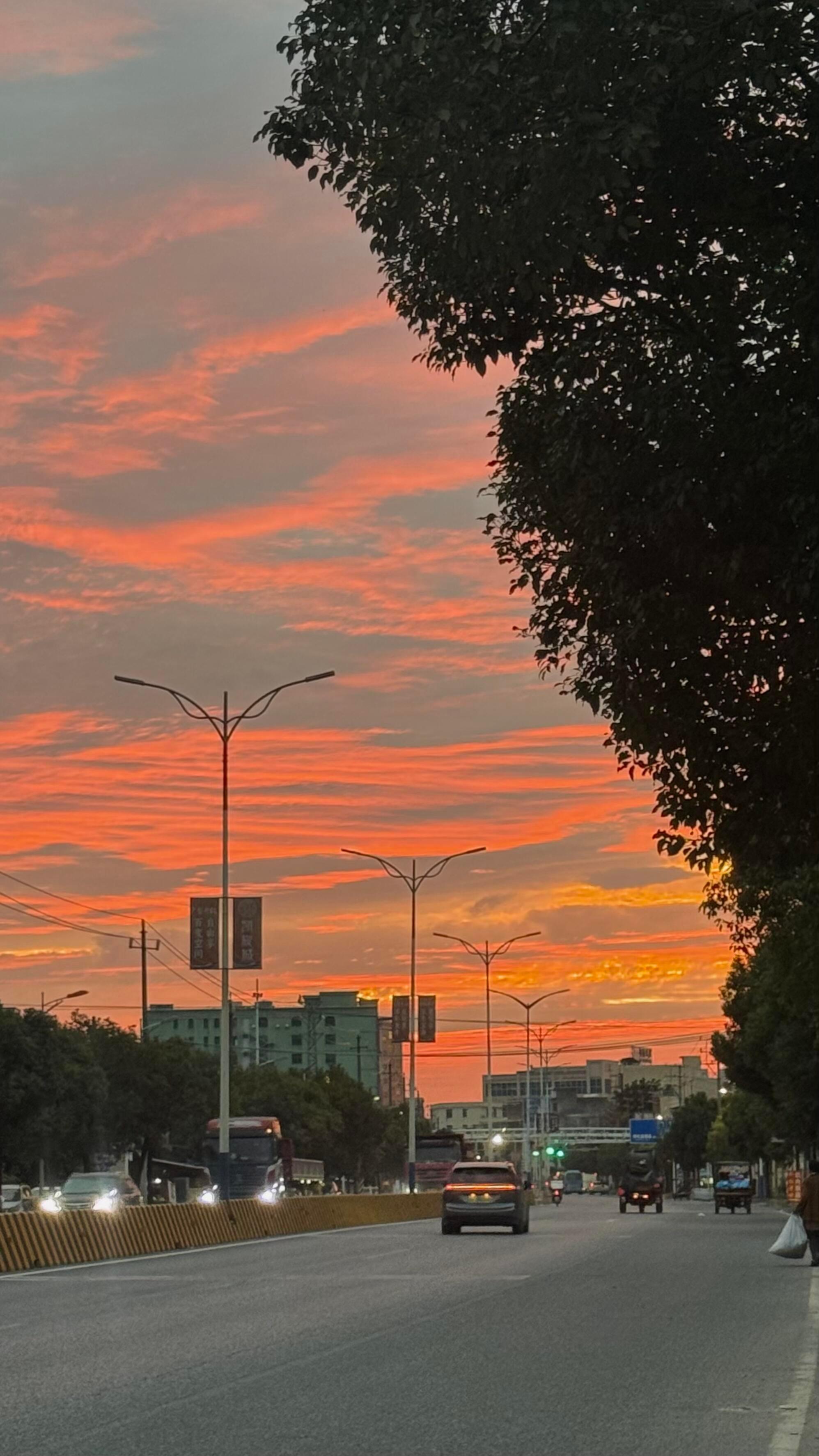 会如愿以偿 会繁花似锦 