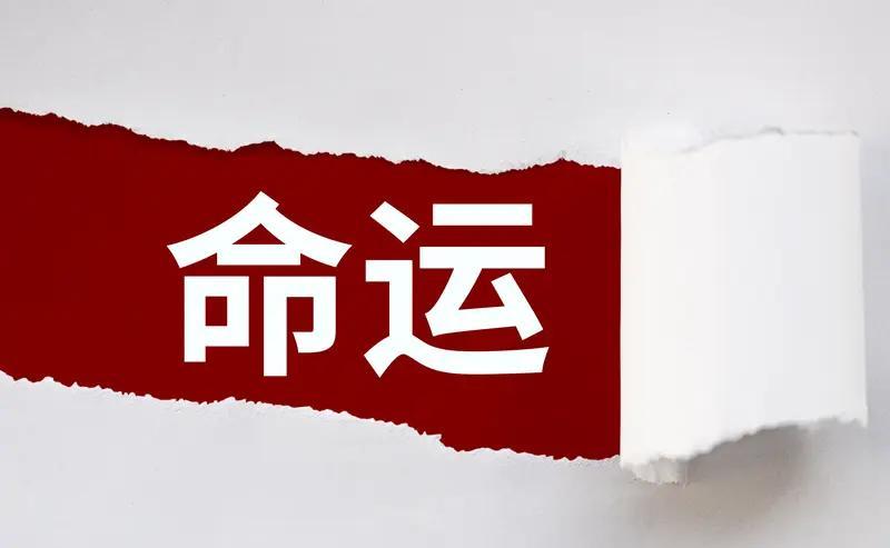 按时还款的人，房贷省了近二十万。
每周跑三次，每次二十分钟，命多活三年。
深圳给