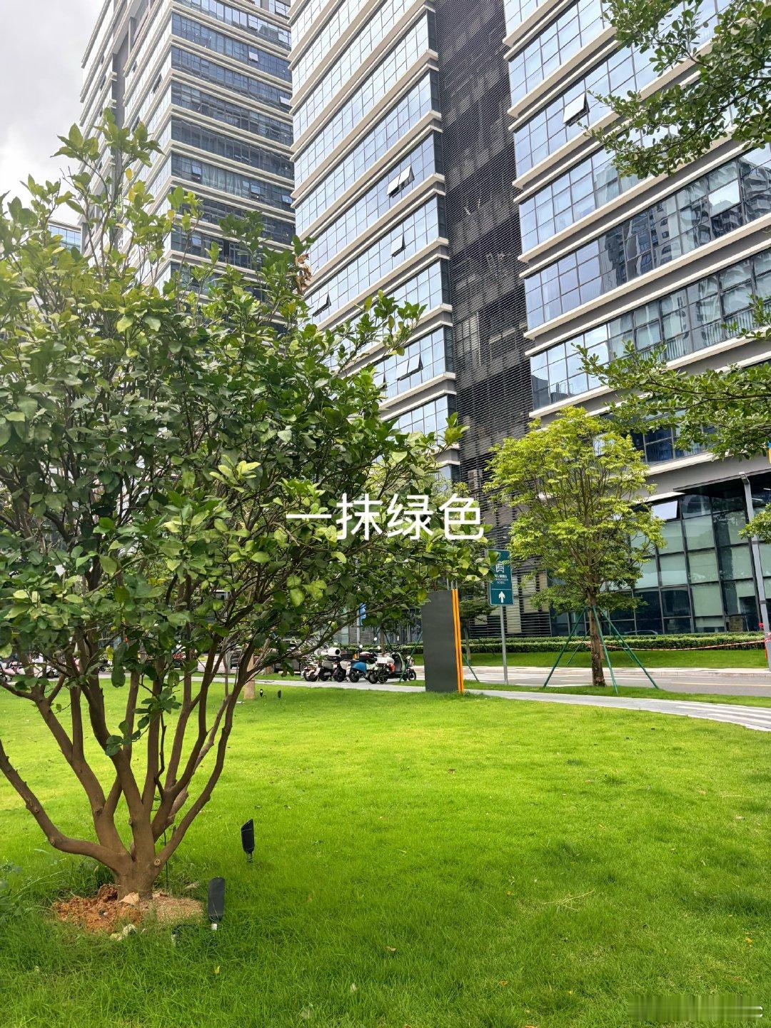 下午去超市买菜了，每天都不知道吃什么！问宝爸：不知道🤷我：😐随便买来一些，这