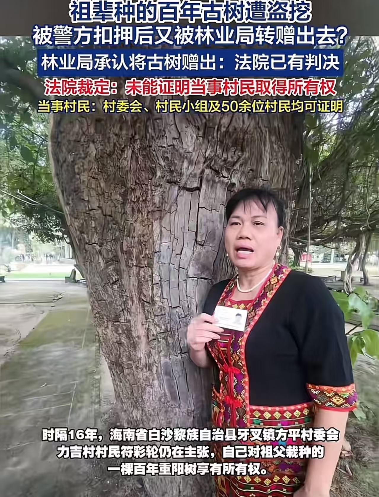 祖辈种的百年古树遭盗挖，被警方扣押后又被林业局转赠出去！法院：已有判决未能证明当
