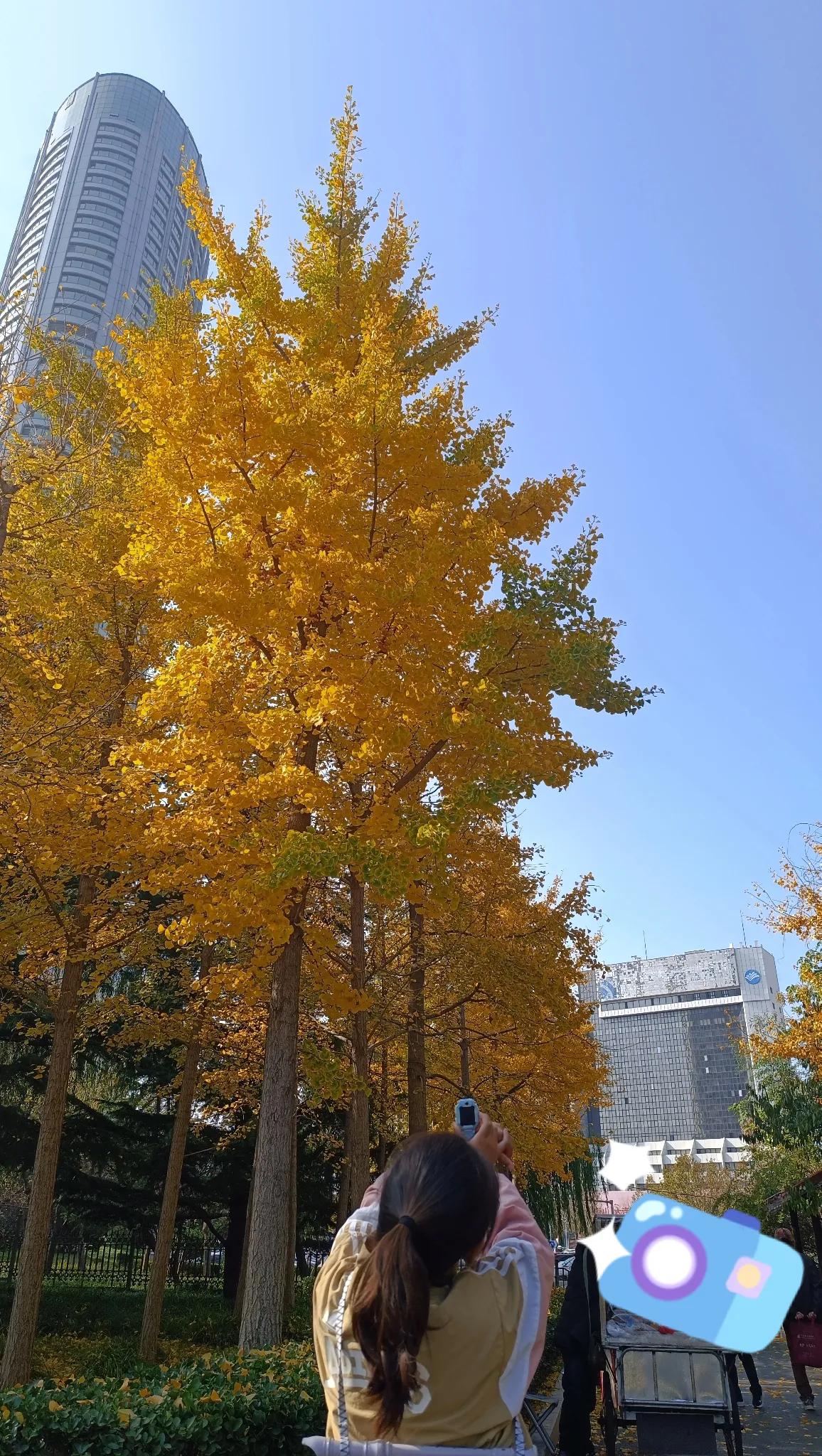 #五年级# 11月9日 周六🧮总结：晨读21分钟；课外阅读33分钟；家庭学习内