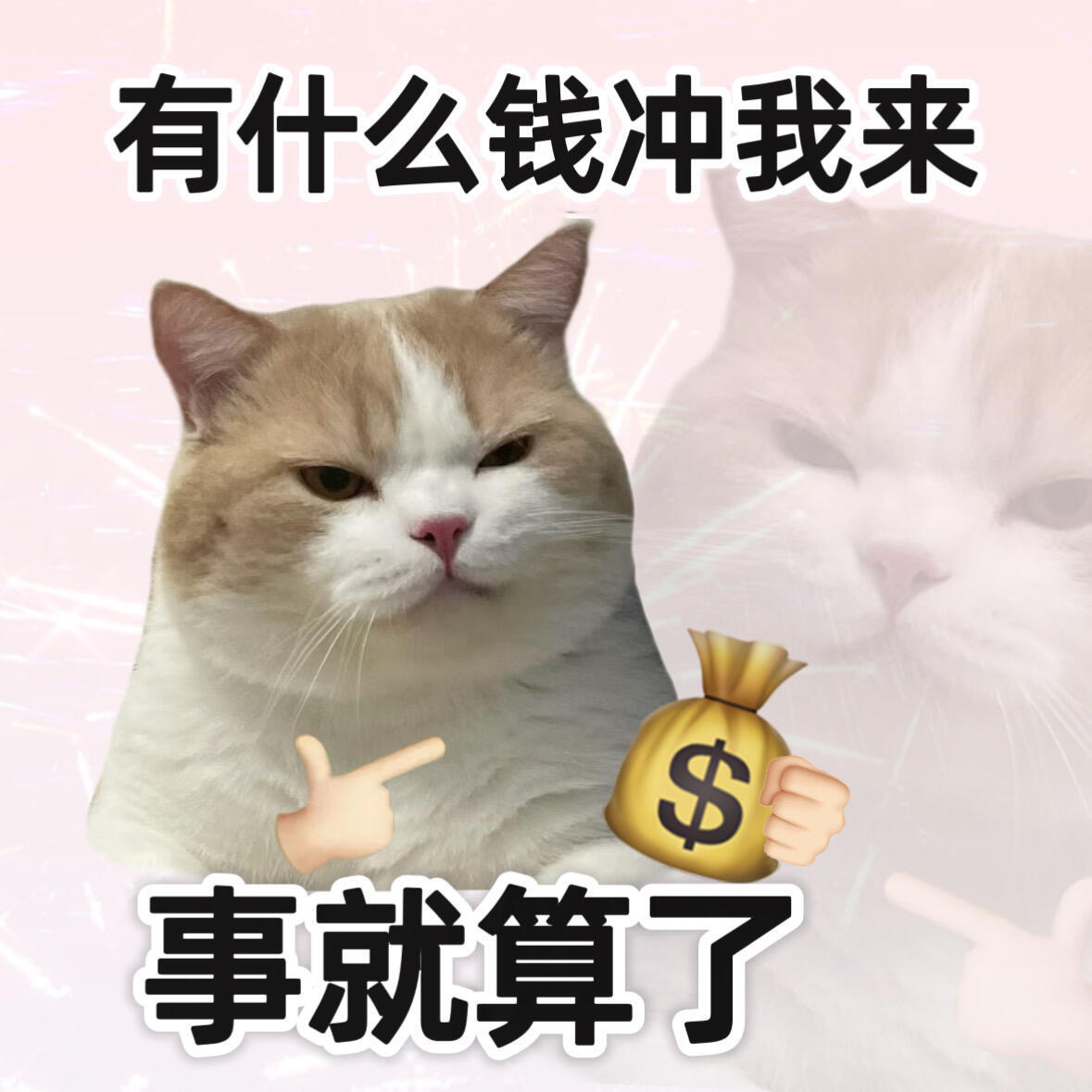 本人目前的状态： 