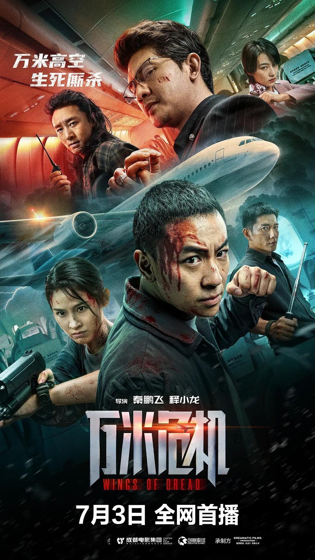 晚上看了一部电影《万米危机》好几位男女动作明星合作，讲空警化解劫机危机的故事，剧