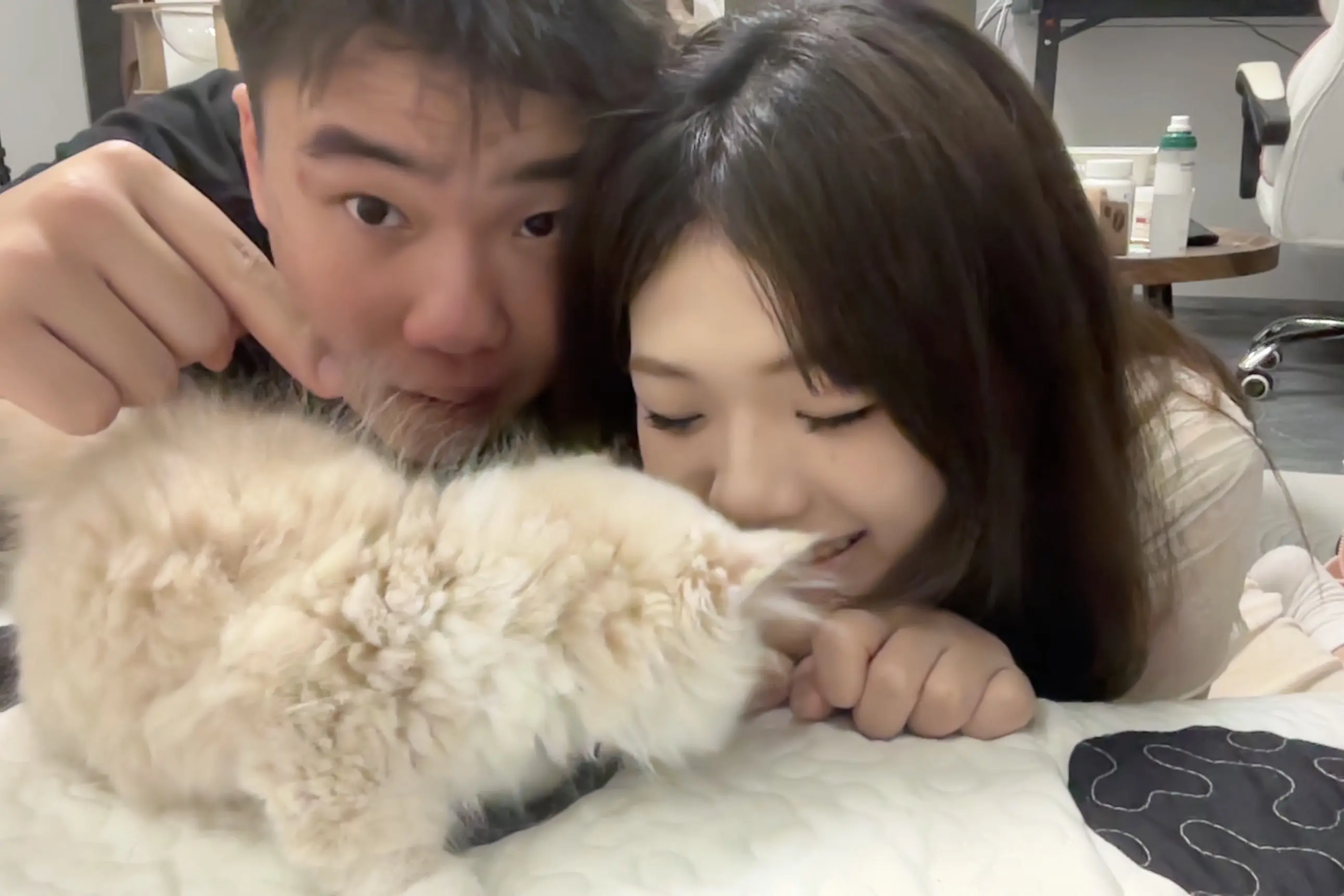 你好 小喵 以后你就叫臭臭叭