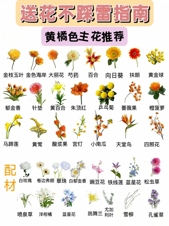 你们要的黄色系|送花不踩雷攻略来啦❗