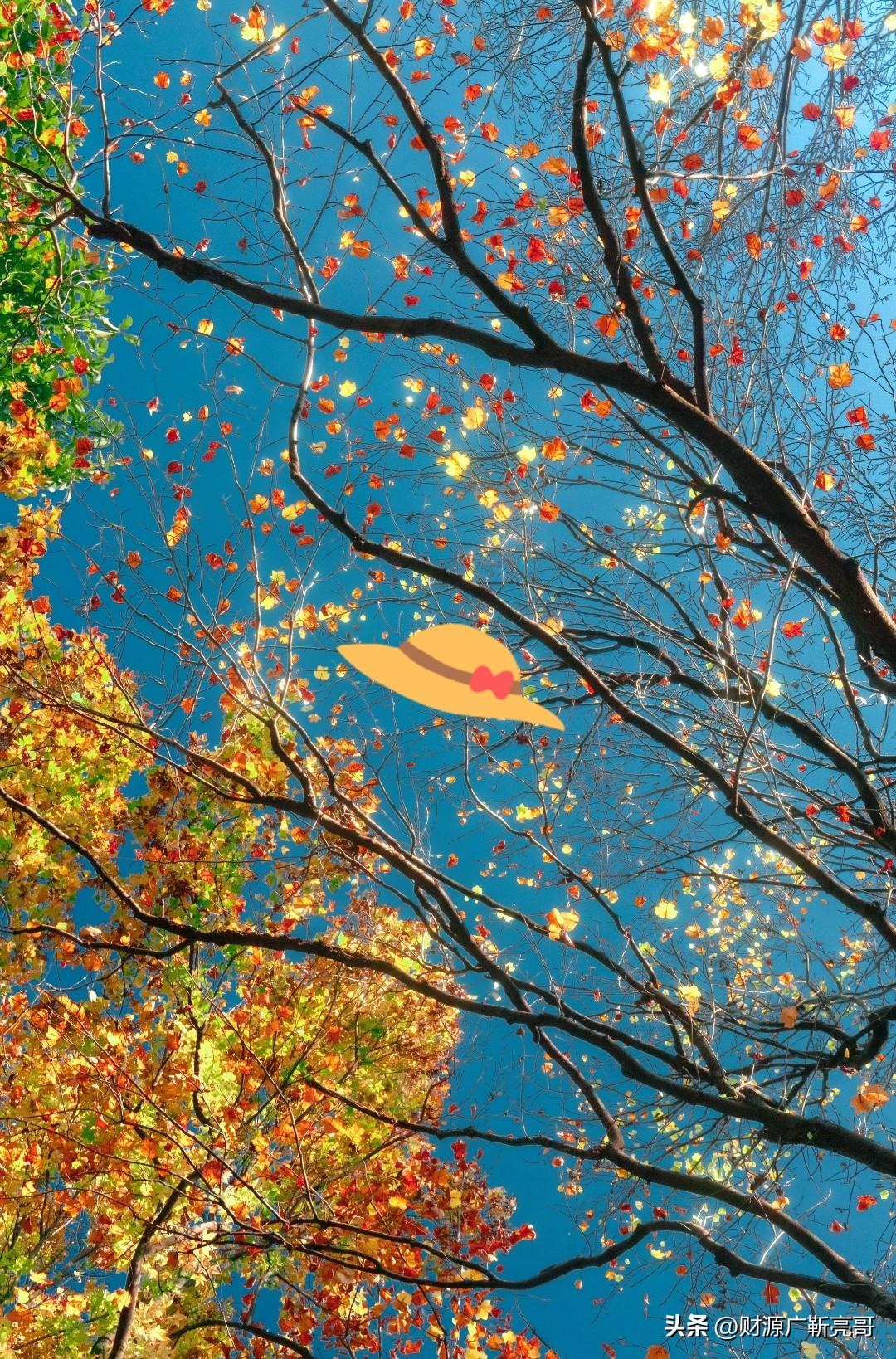 熟人不可亲！！！

昨晚跟老家亲戚吃顿饭，看着他们阴阳怪气地攀比，我心里就一句话