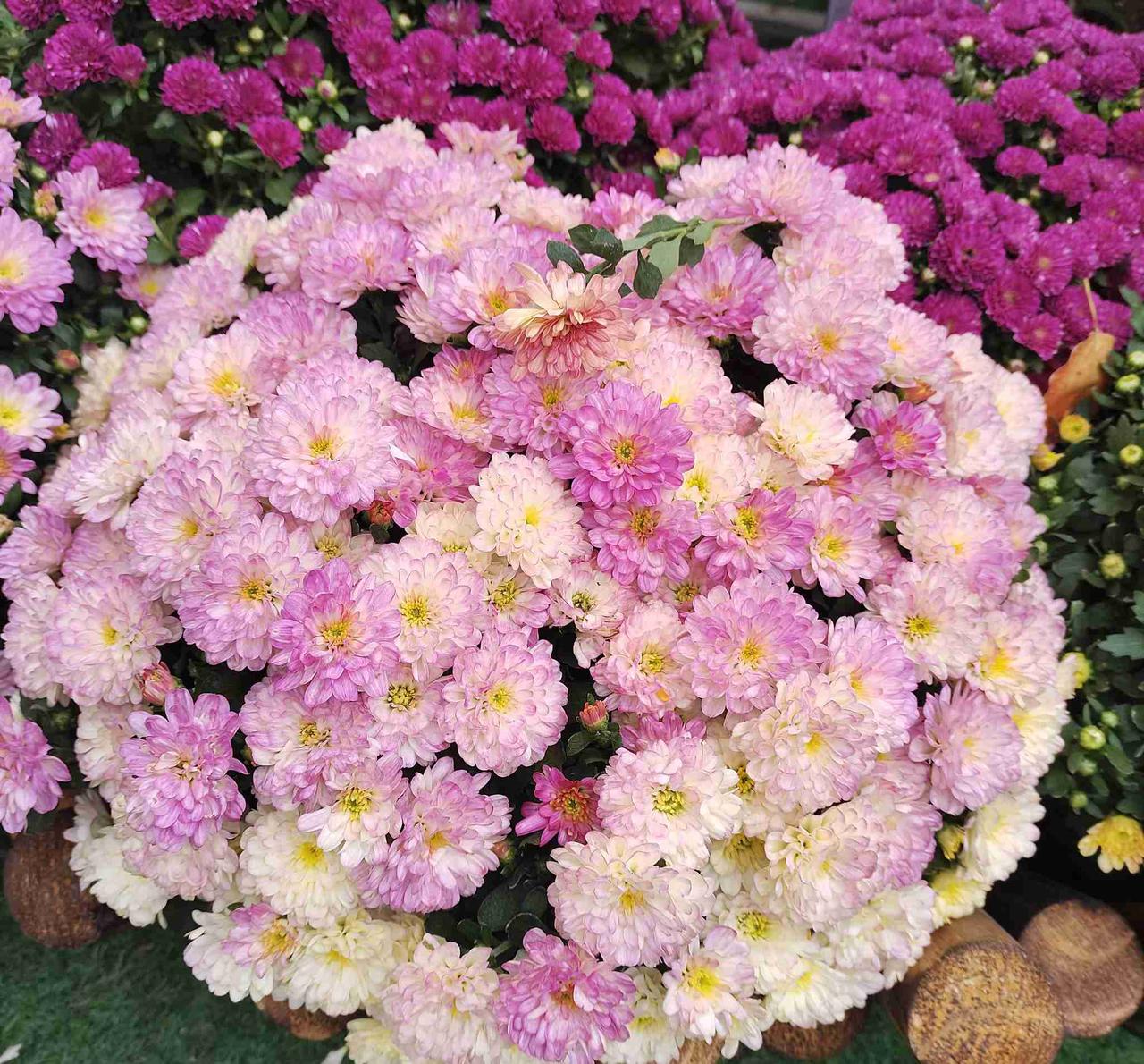 我的今日状态：😁轻松愉快
我这里的天气：☀️晴天
今天出太阳了，微风，而且还很