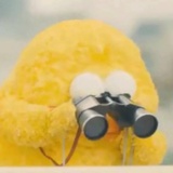 褚枝说说体育