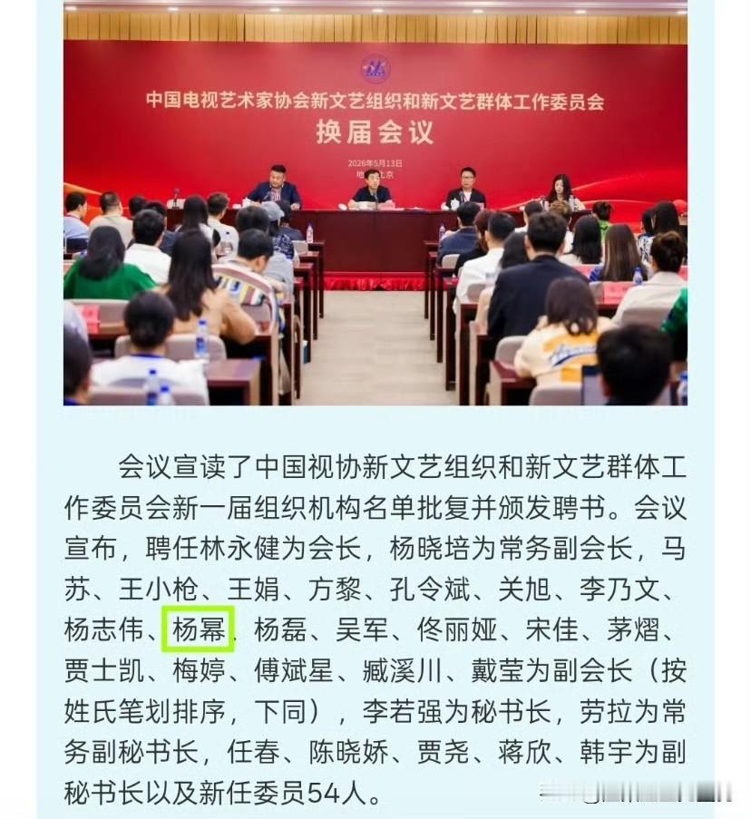 杨幂喜提新身份，当选中视协双新工作委员会副会长

2026年5月13日，中国电视