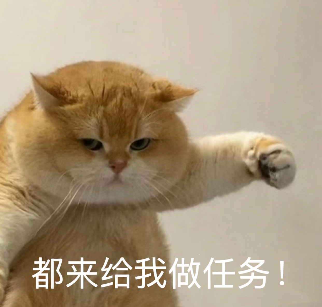 今晚几件事一起来做1️⃣超话🔥度网页链接（今晚8.5万！多发帖盖楼多互动🆘）