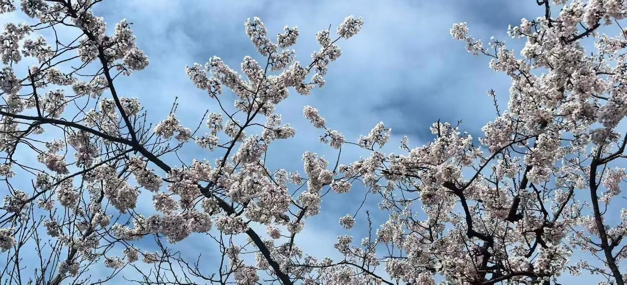 这个话题特扎心，但说句大实话，钱能买来好药，买不来陪在身边的那几分钟。

现在日