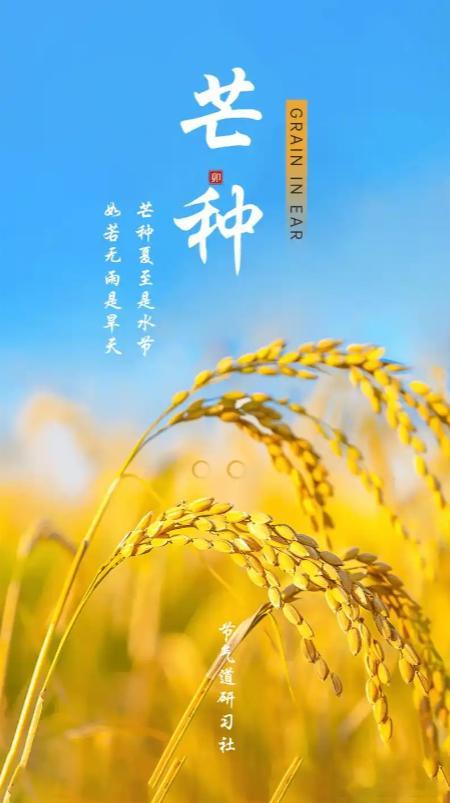 芒种（午月开局，6 月 5～21 日）出生命理性格？芒种交接午月、火旺当权、阳极