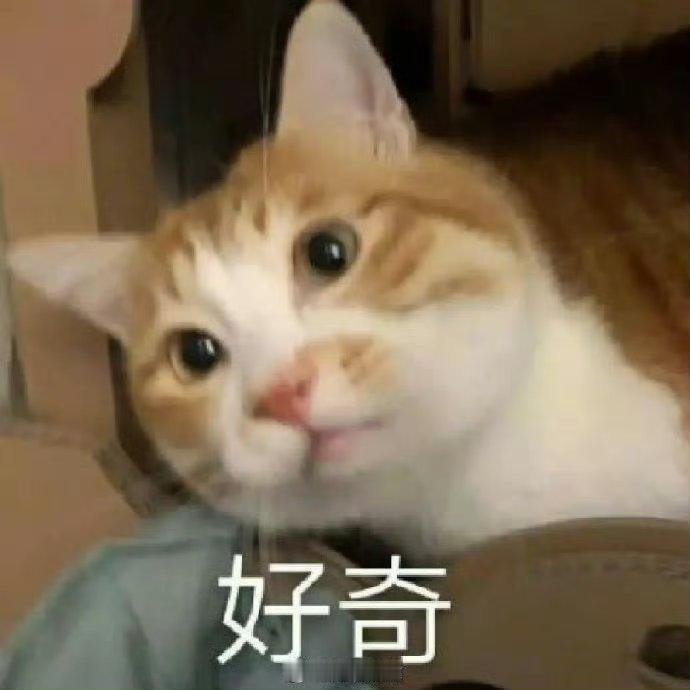 早上好[兔子]

大家第一次玩排位模式使用的英雄是？

#兔玩早安时间#