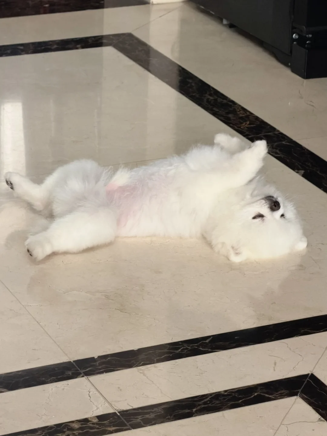 好喜欢睡觉💤