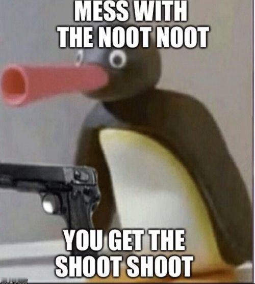 noot！ 