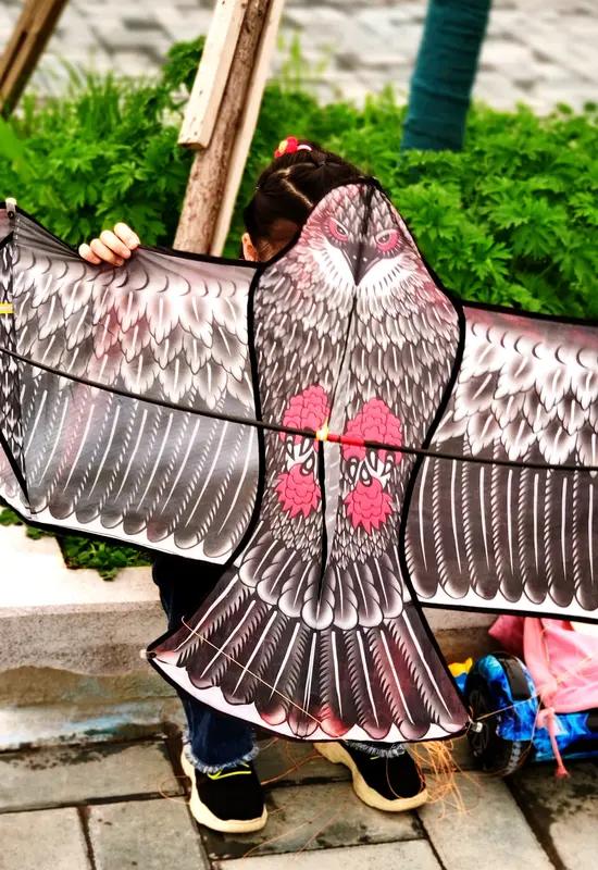 卜算子•山东省潍坊风筝节
彩翼凌云天，绮韵随风绽。漫舞苍穹放纸鸢，遍染山河灿。