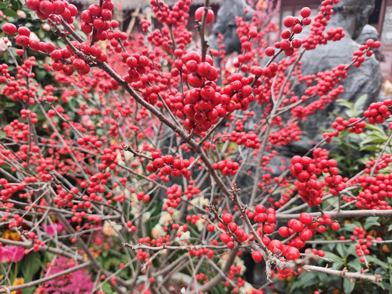 国防安全从来不是单一装备的比拼，而是体系、预警、协同与意志的综合较量。唯有自主自