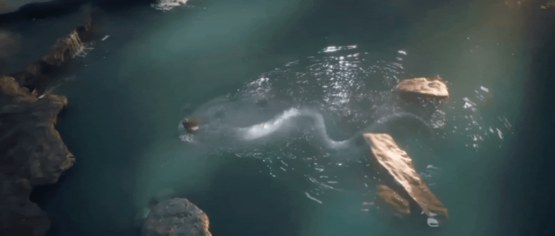 唐诡主创拍东方神话了朋友们，那可是唐诡的班底，完全可以闭眼相信他们的实力，看到这