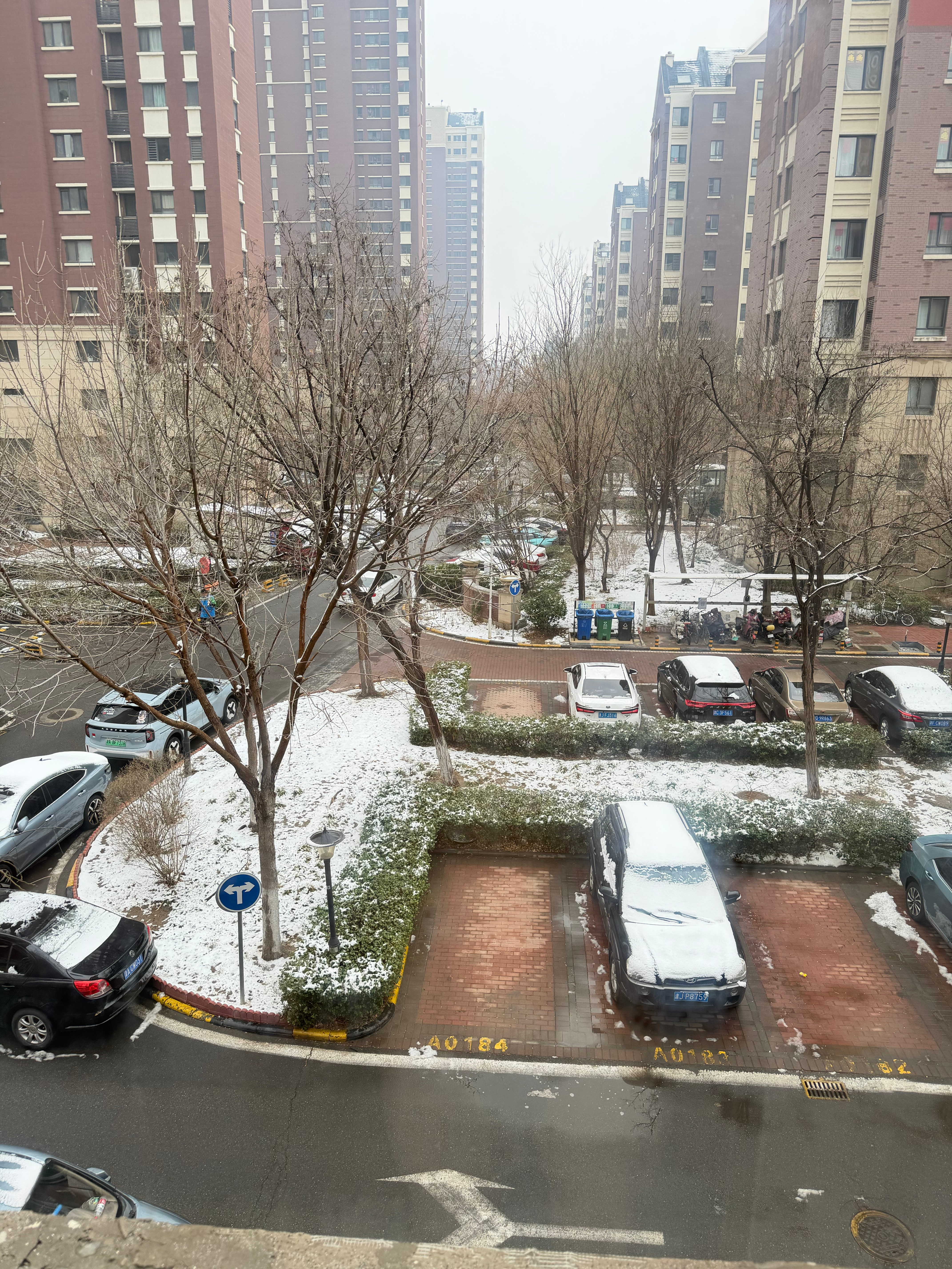 三月飘雪是在？ 