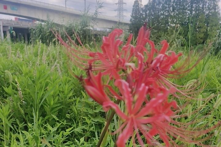 突然收到一条信息，你最近还好吗？看了一下，是一个曾经喜欢熟悉的人。

但想一想要