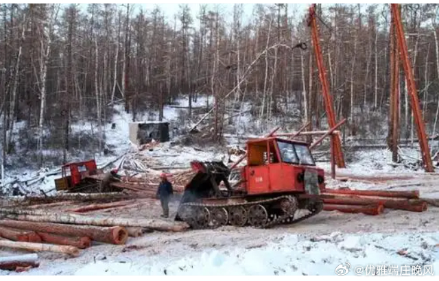 【财富晚茶】午盘透析(11.28)：北证涨幅0.35%： 林业反弹中药回调导语：