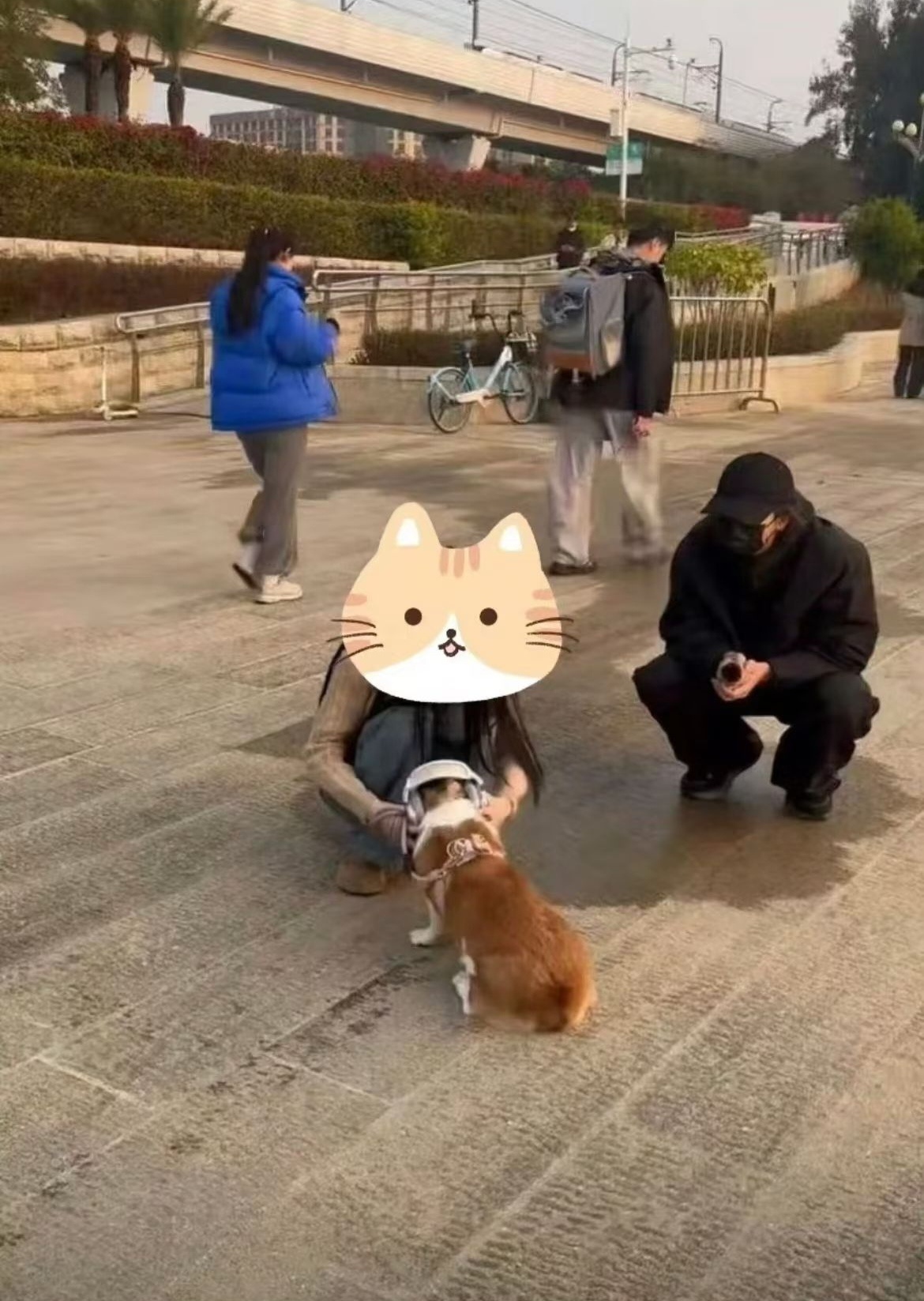 关于蔡徐坤采访路人——你们不觉得，蔡徐坤这么有才华，在国际上也很有影响力，他不仅