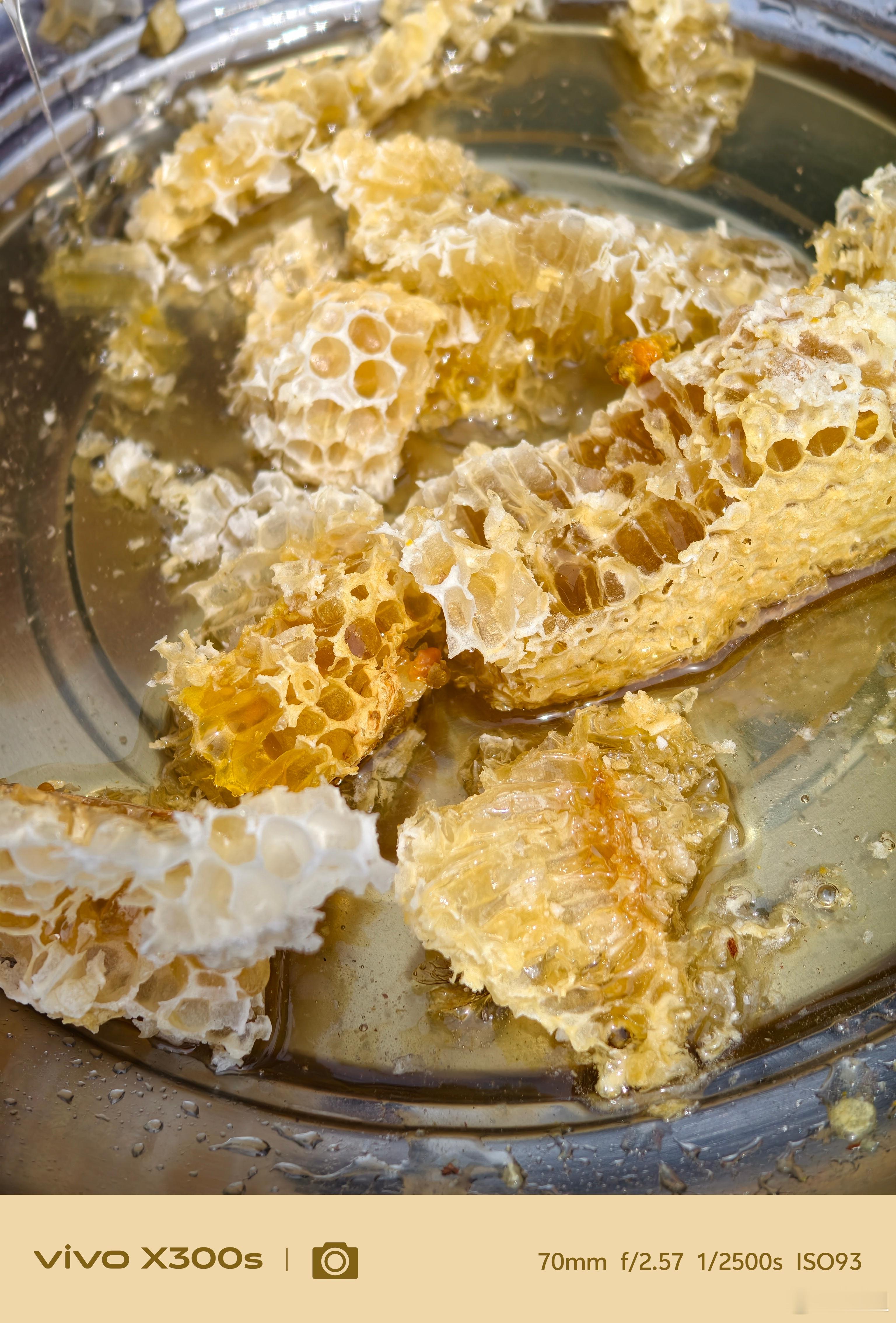 老爸今天割了点蜂蜜给我们吃，真的是又甜又香
