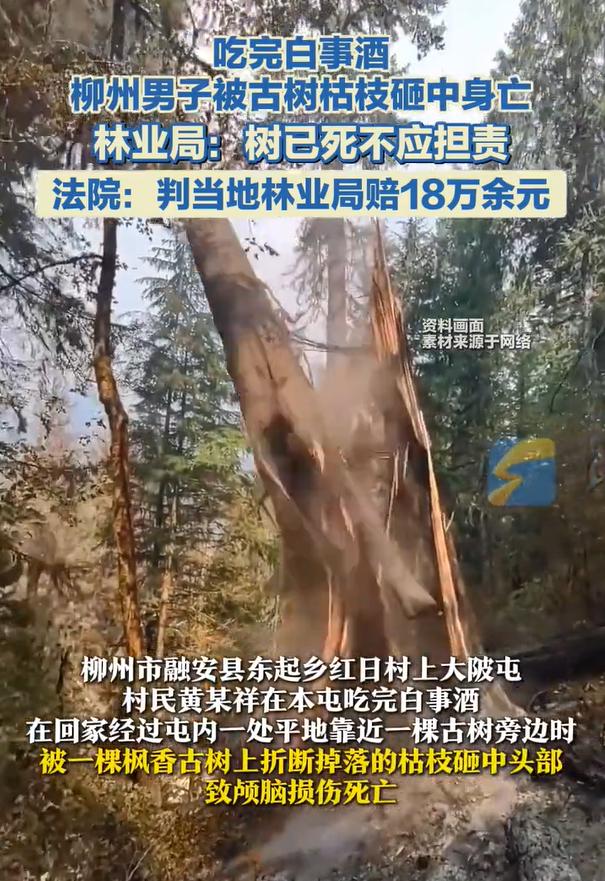 飞来横祸夺人命，官僚作风行不通。
2026年2月23日，广西高院向社会公开这样一