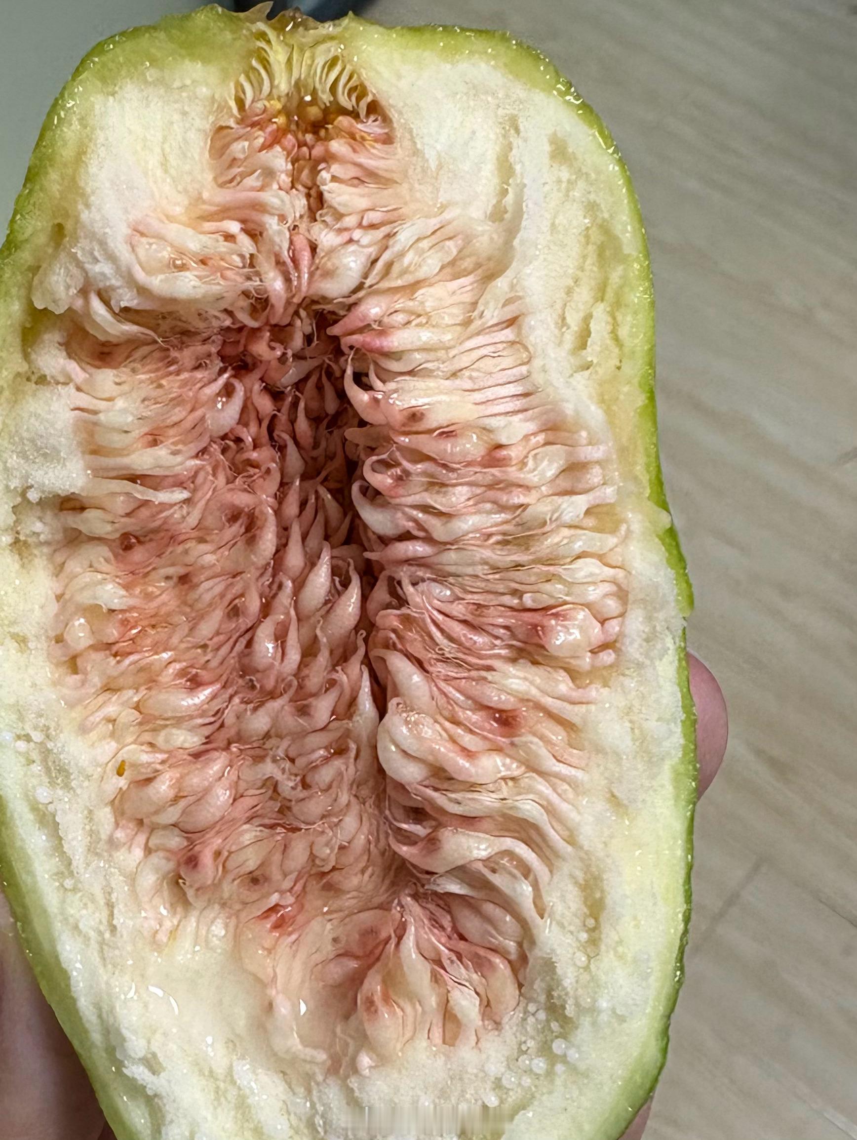 芭劳奈Ficus carica 'Banana' ～ 