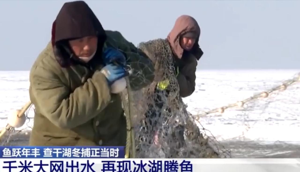 查干湖的冬日冰面，正上演着一场震撼的冬捕盛景。渔人们顶风冒寒，合力拉起千米大网，