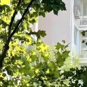 每日一善 乐于助人，是心灵的温暖，是生活的甜蜜。伸出援手，传递正能量，让爱在人与