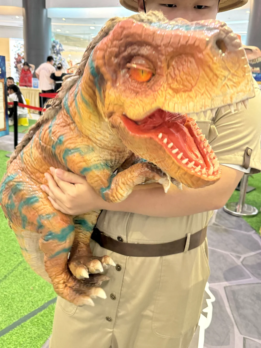 福州市区也有了！！🆓恐龙🦖展！！