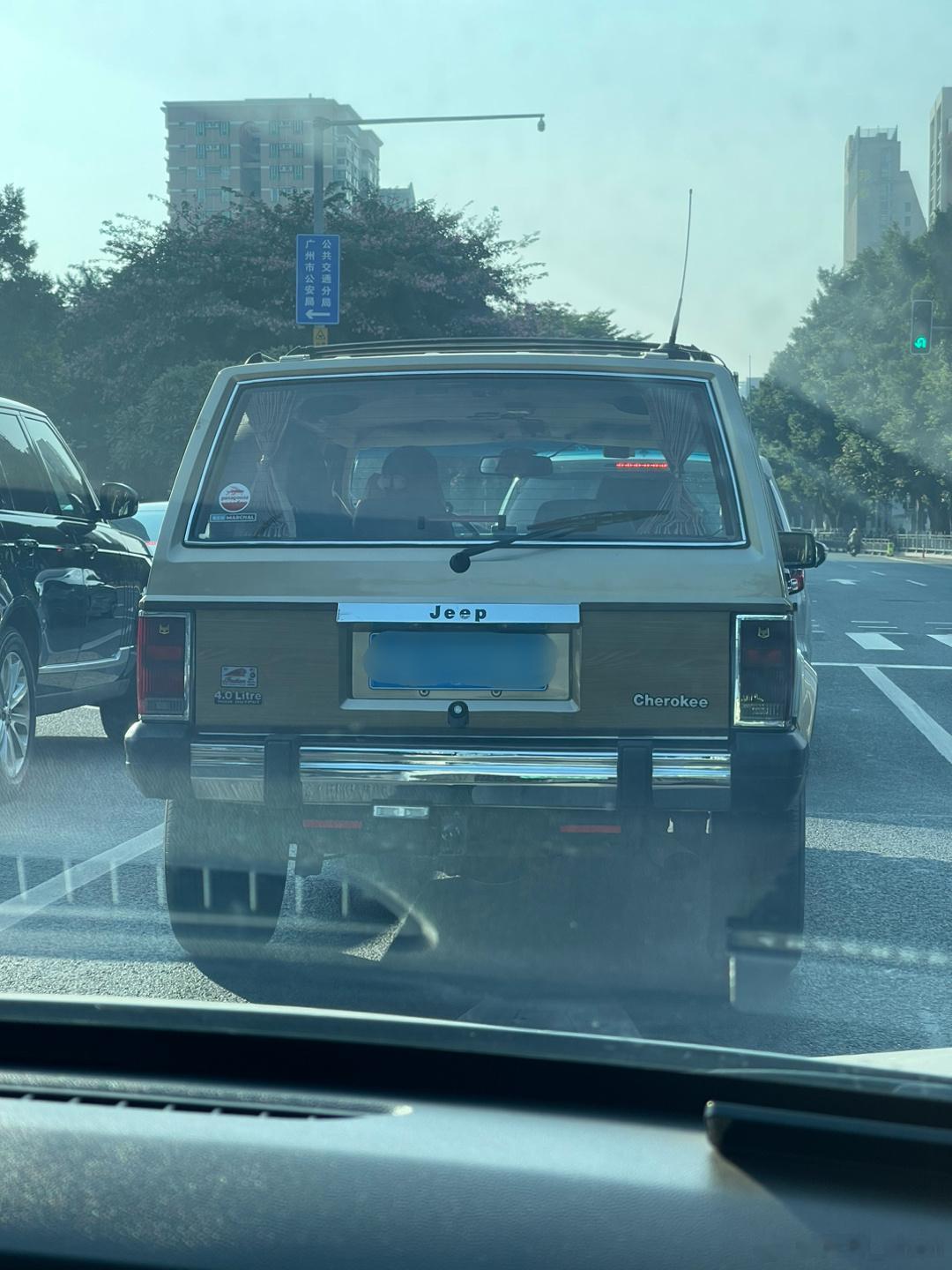 一抬头，看我发现了什么[嘻嘻] ​​​