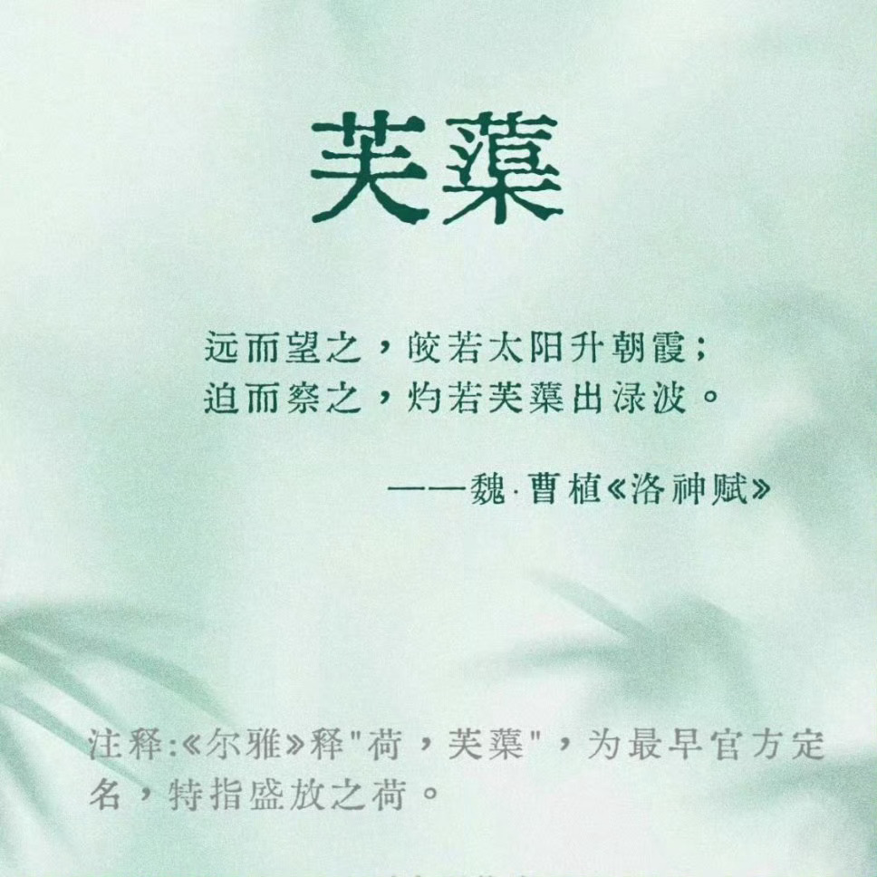 古人对荷花的雅称 