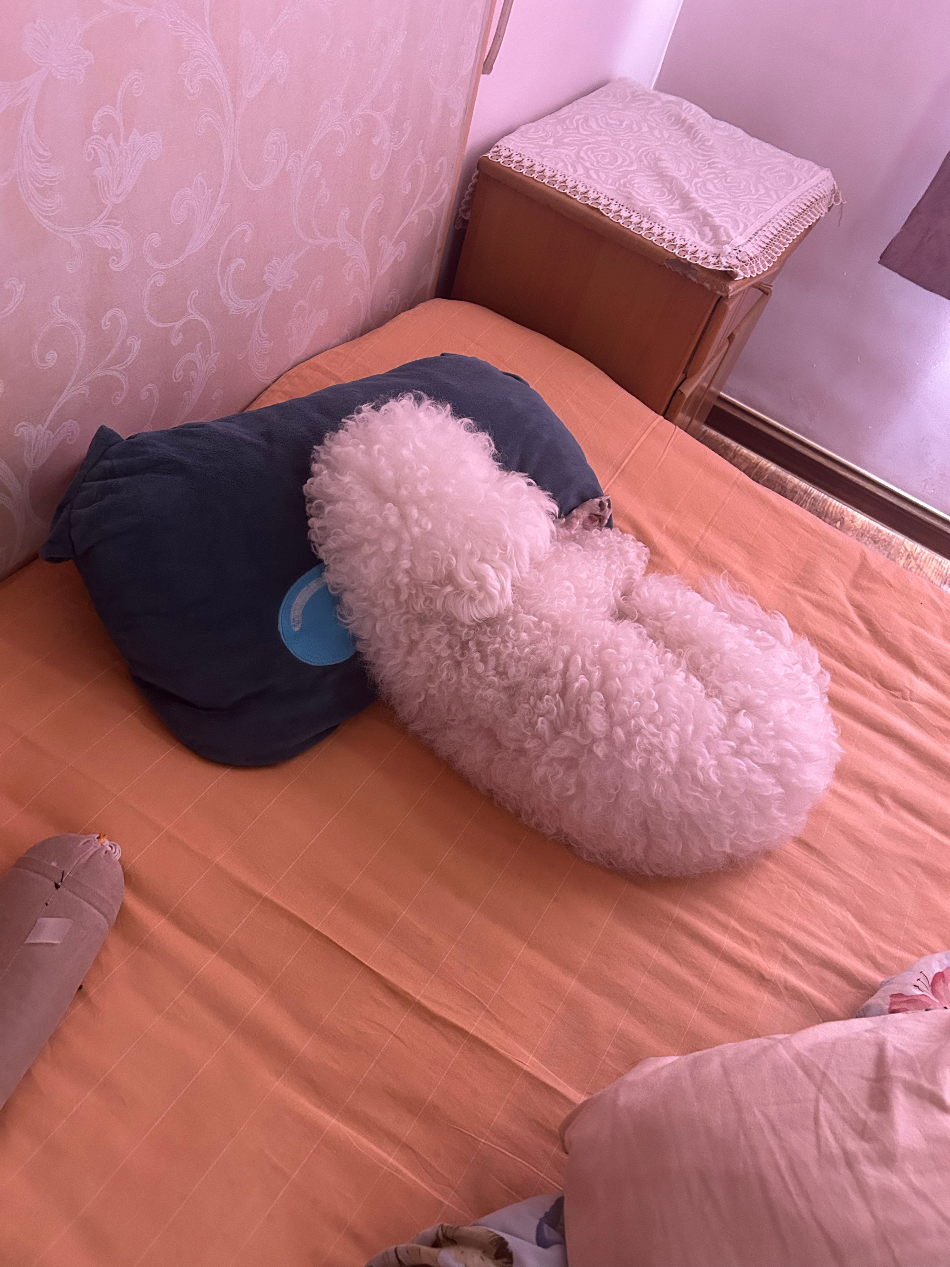 说说昨晚有多生气有几家人在我们后面小花园喝酒聚餐2:00多还在大声吆喝猜枚忍无可