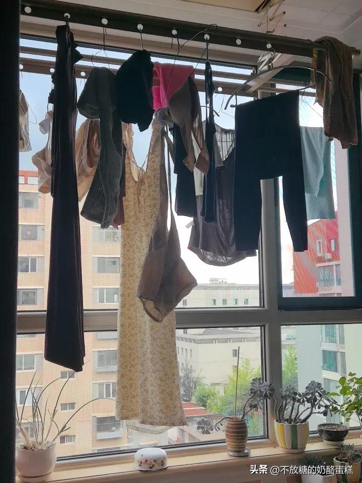 今日份早餐。芝麻菜、烟熏三文鱼、玉米。芝麻菜上淋上点儿黑芝麻酱。
这些天得天天消