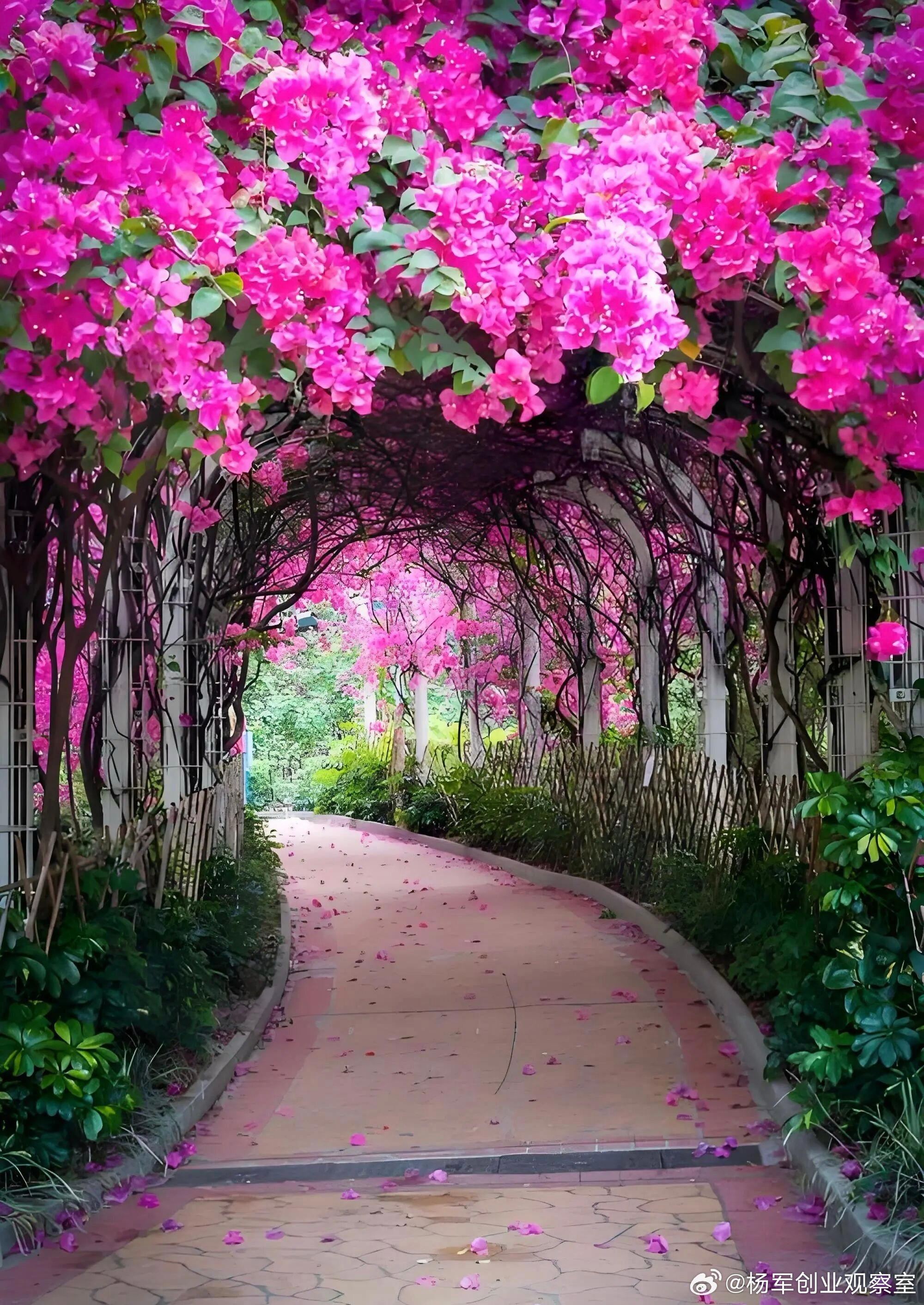 为什么你总融不到资？可能一开始，你就选错了“投资人”。想跟资本对话，先要看清资本