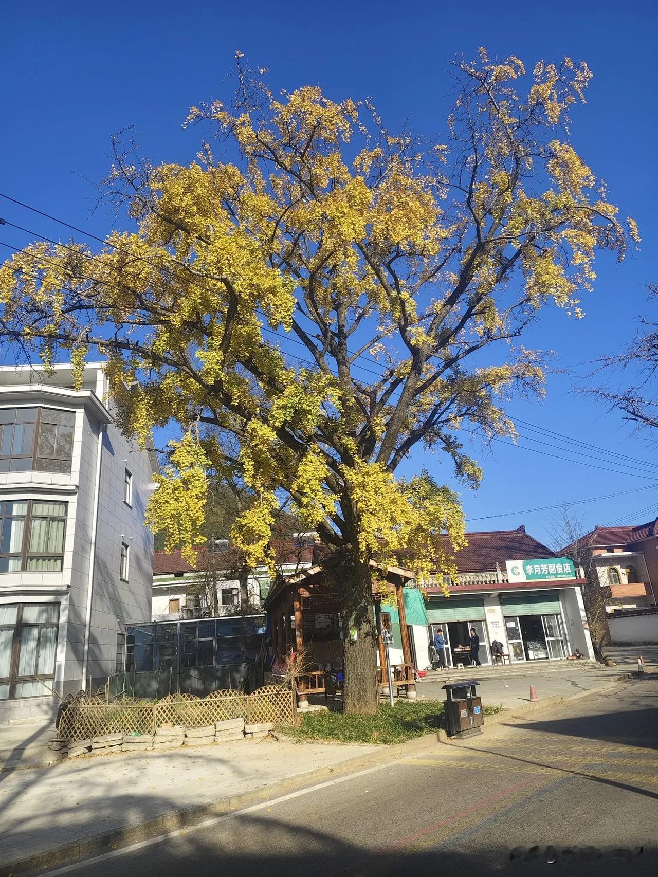 在头条上都是些什么人？[祈祷]
我的感悟是:
（1）无论你的身份是什么，你们都是