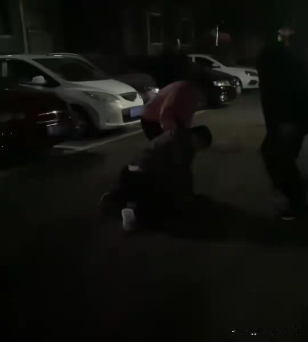 株洲女子夜间遭同小区大狗扑咬，男子从大狗扑咬，男子从二楼冲下死死摁住肇事狗，众居