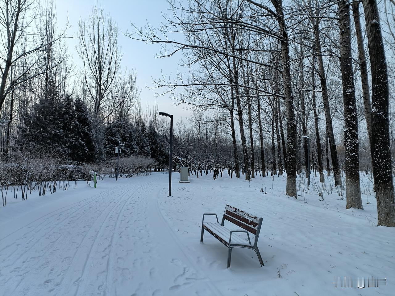 冬天的第一场雪！
在雪中奔跑，听着脚下的吱吱声
世界都安静了！