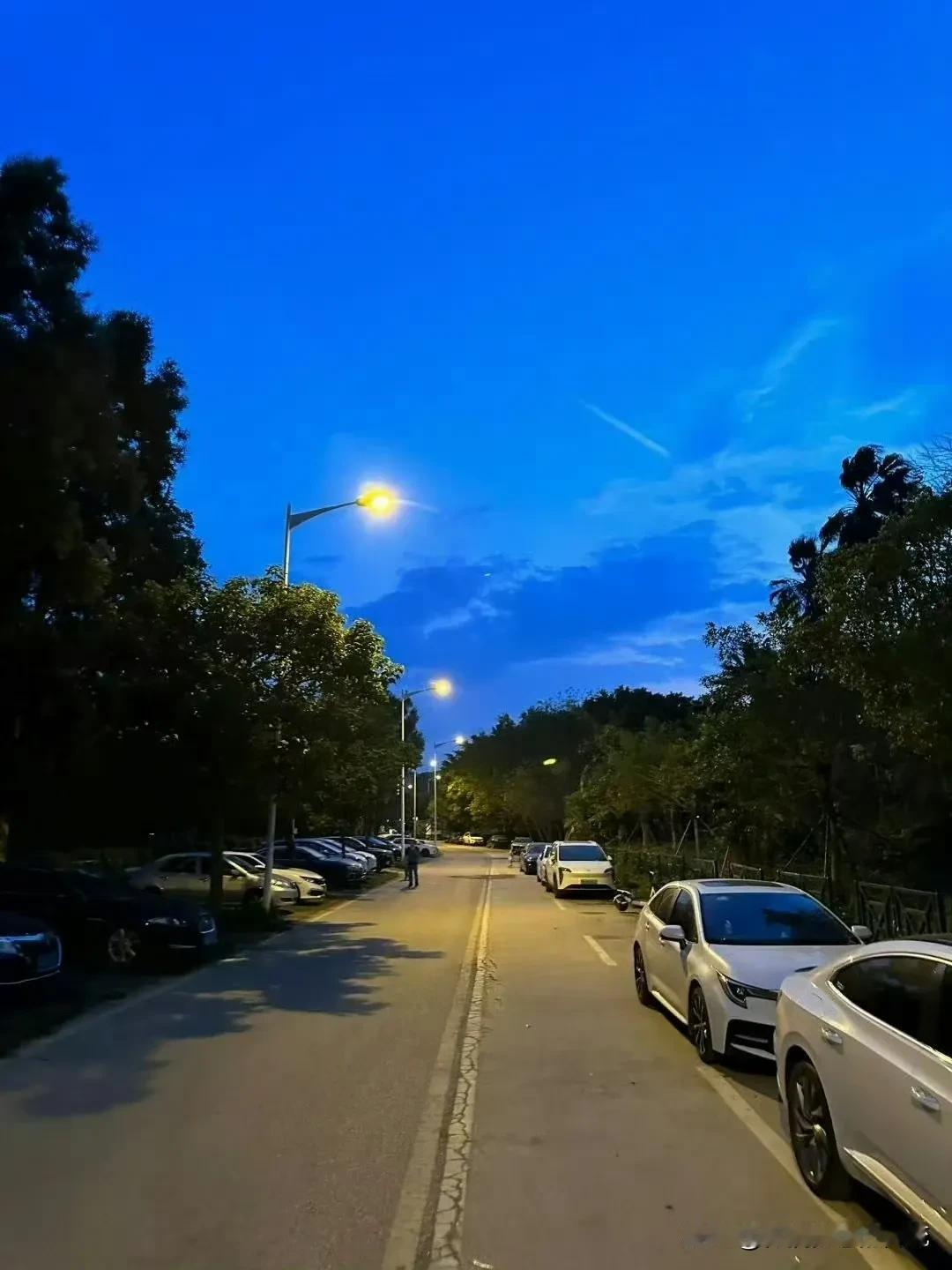 冬日生活分享清冷感，保持头脑清醒一点