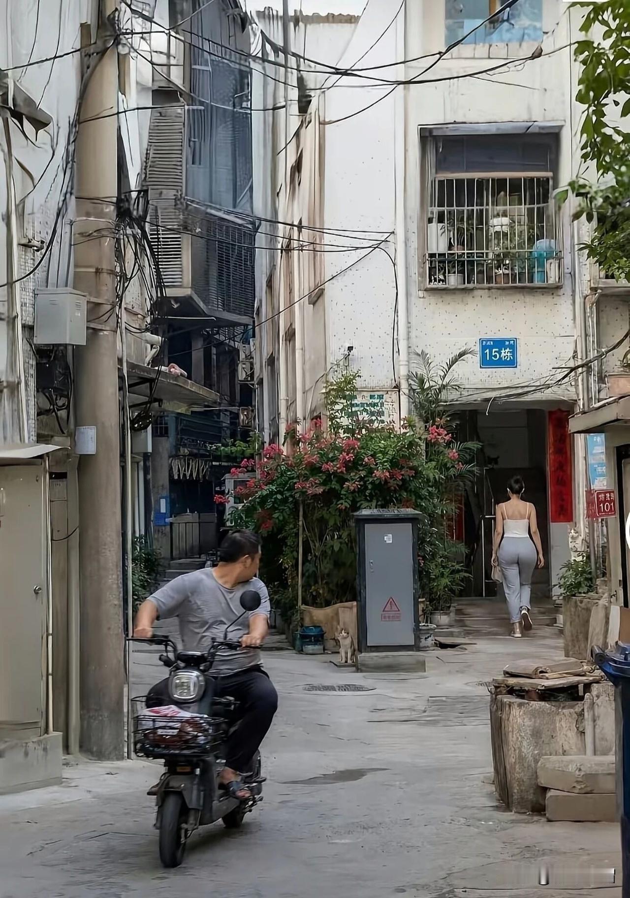 这幅图我保存了好久，总觉得要说点什么，又不知道说什么好。

一个老旧小区，电线密