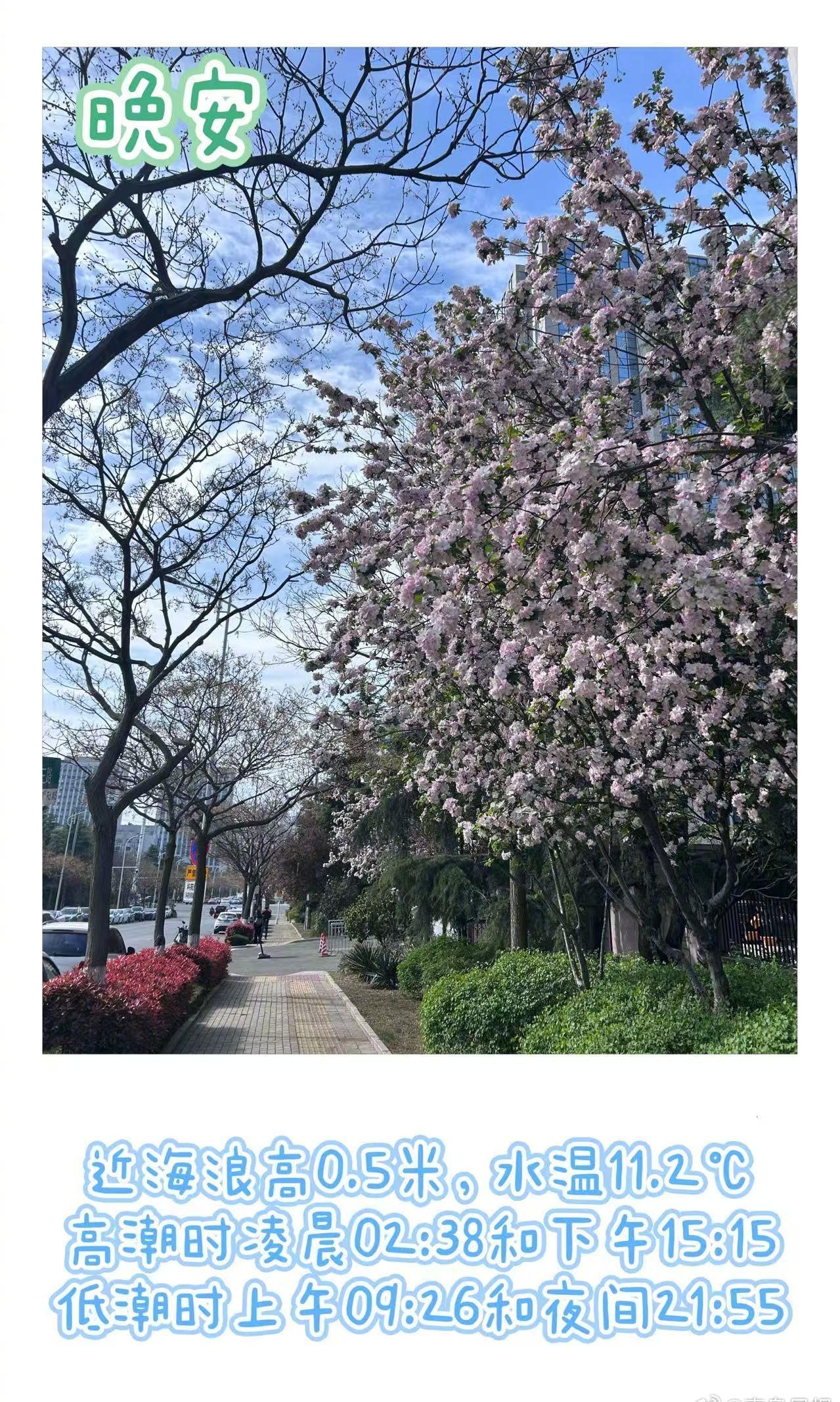 【青岛每日潮汐指南】 4月15日潮汐预报新鲜出炉～ 青岛沿海和内地区犹如两季，提